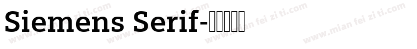 Siemens Serif字体转换